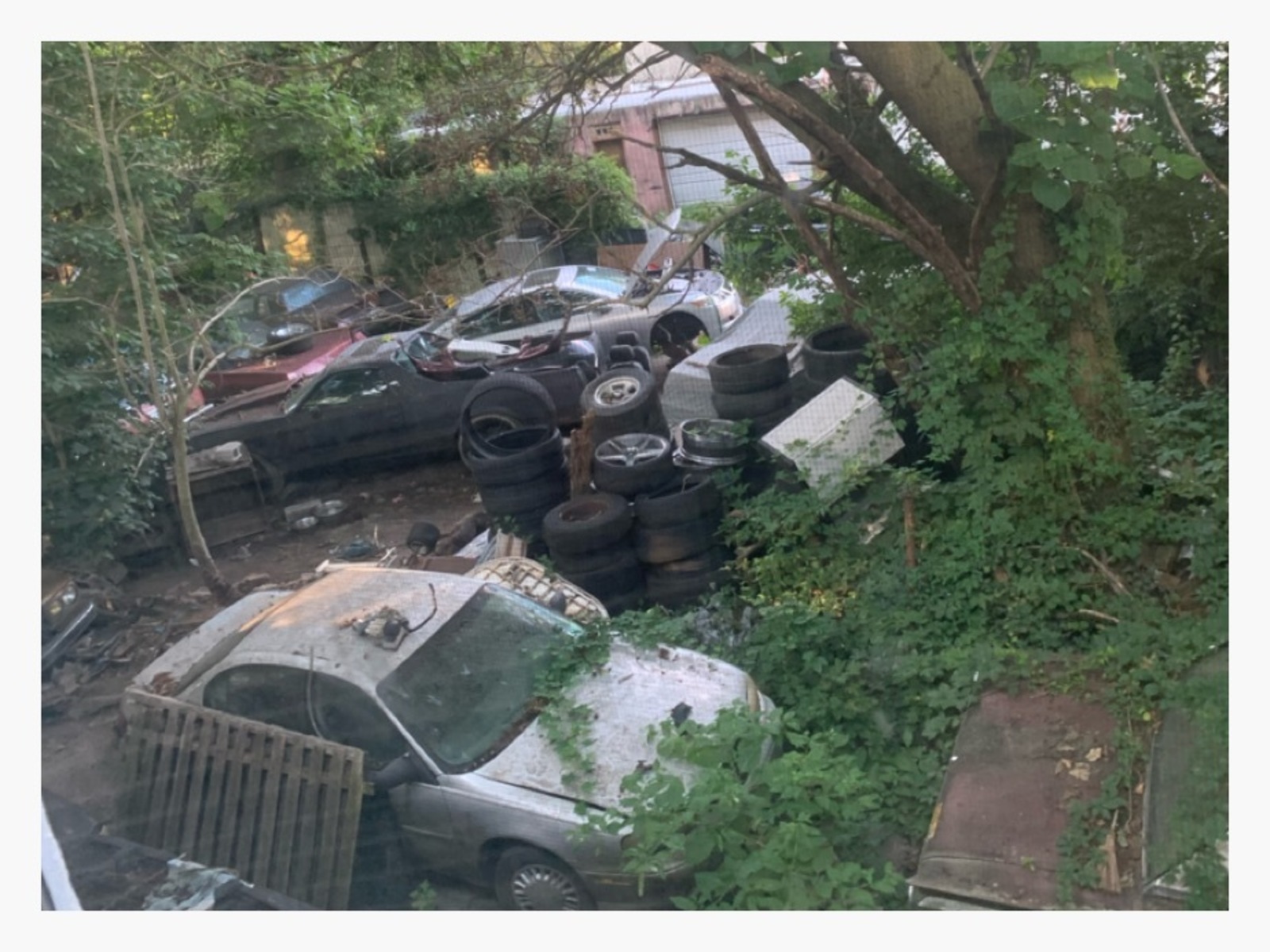 Photographic documentation of the work as submitted to the city's 311 record.