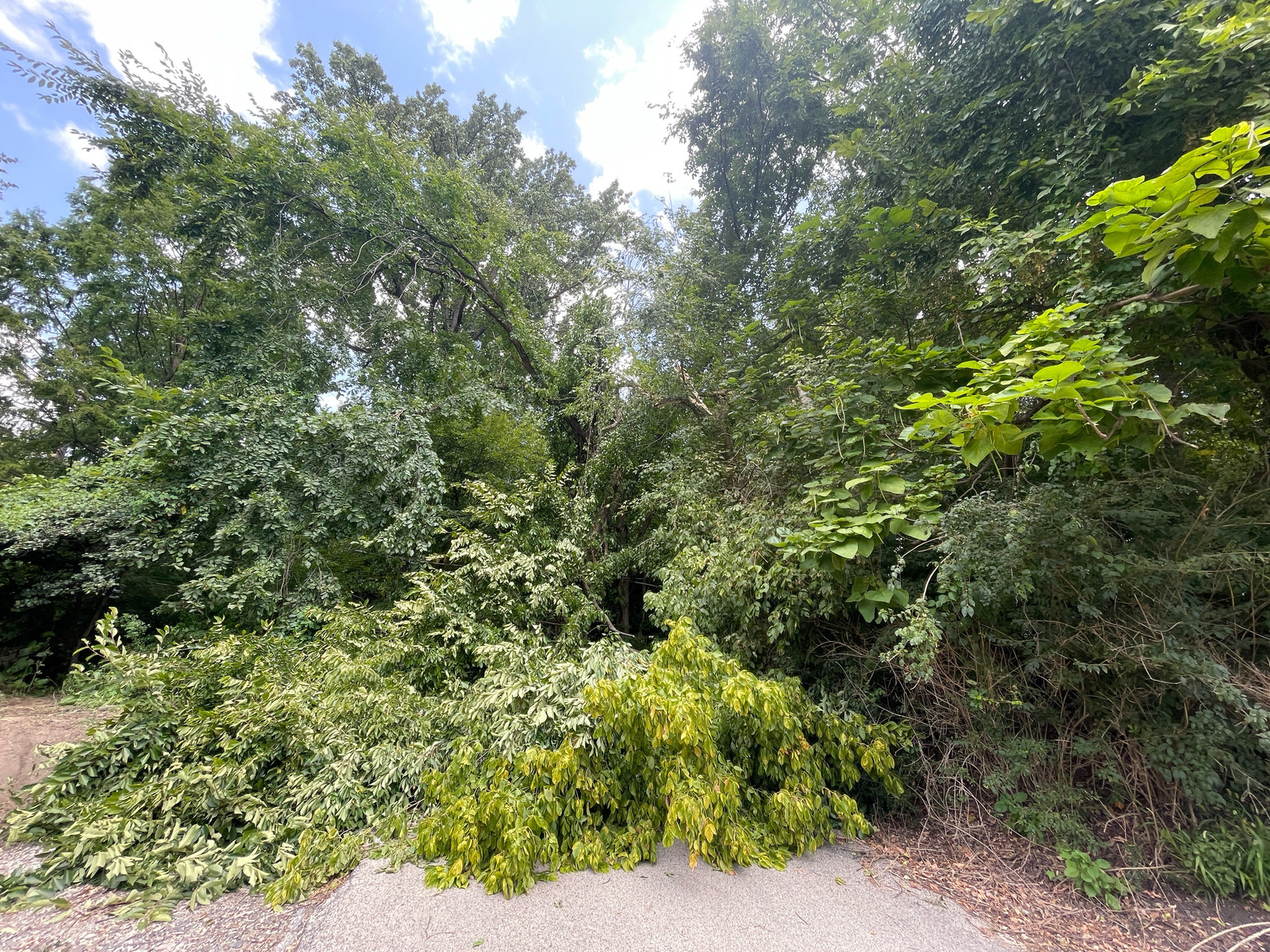 Photographic documentation of the work as submitted to the city's 311 record.