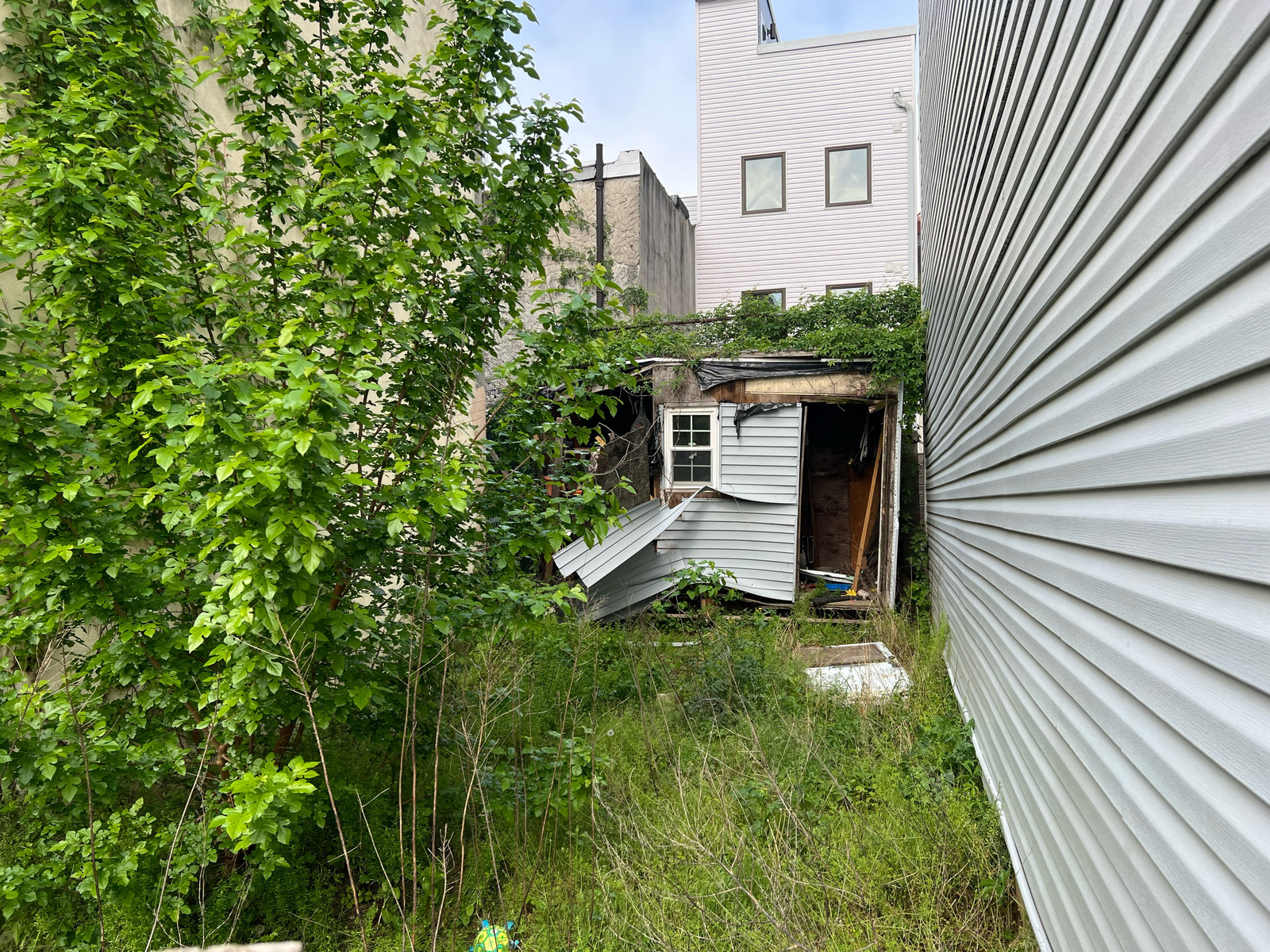 Photographic documentation of the work as submitted to the city's 311 record.