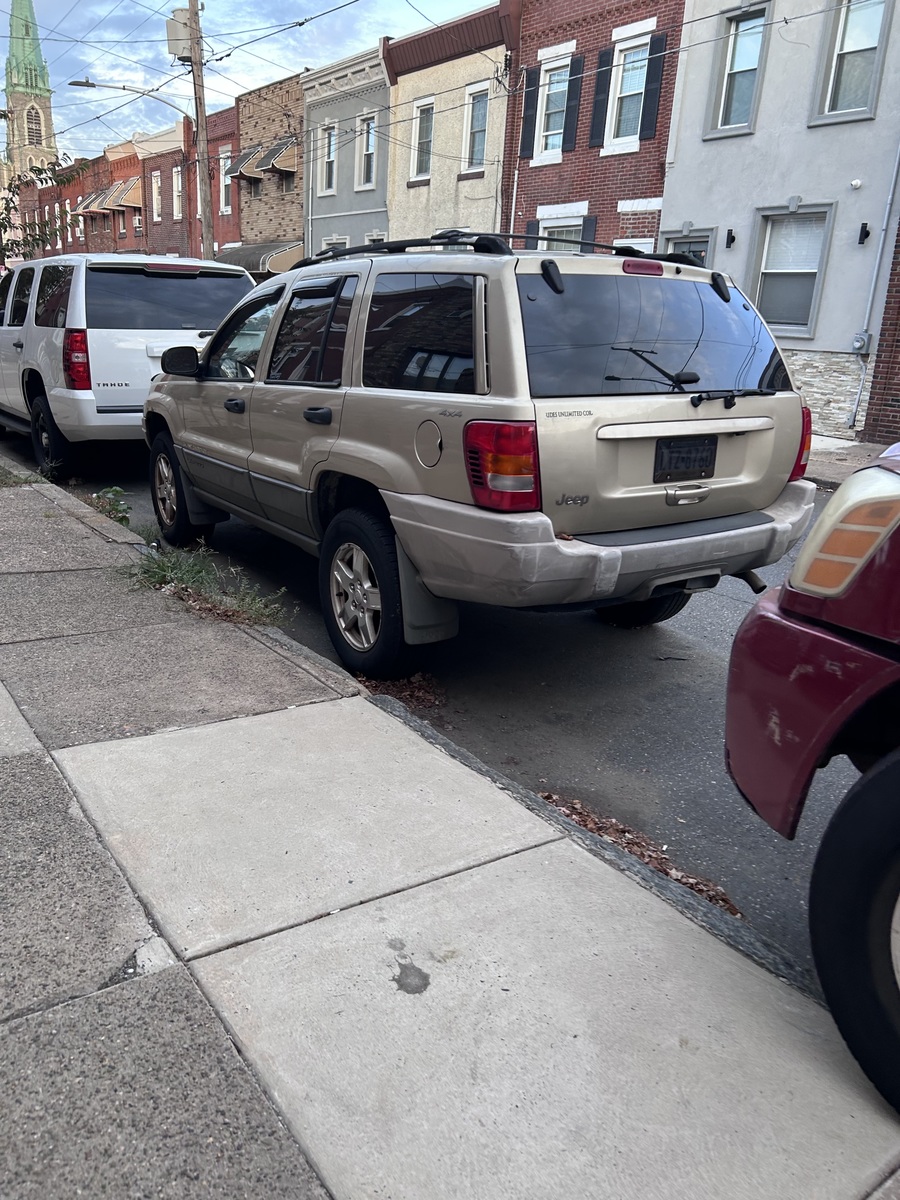 Photographic documentation of the work as submitted to the city's 311 record.