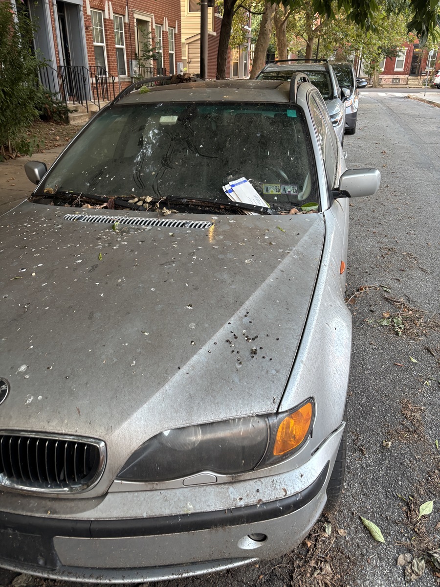 Photographic documentation of the work as submitted to the city's 311 record.
