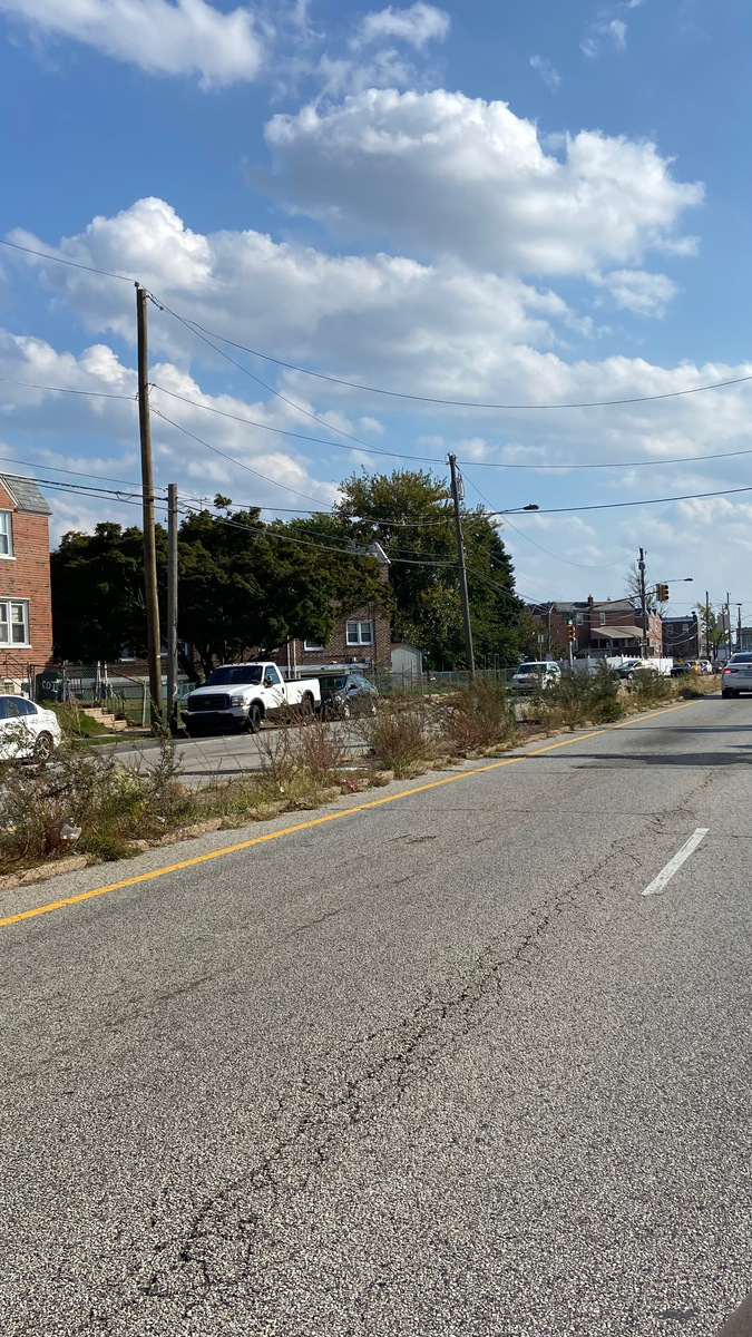 Photographic documentation of the work as submitted to the city's 311 record.