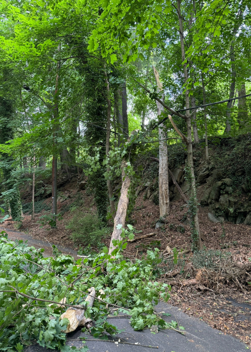 Photographic documentation of the work as submitted to the city's 311 record.