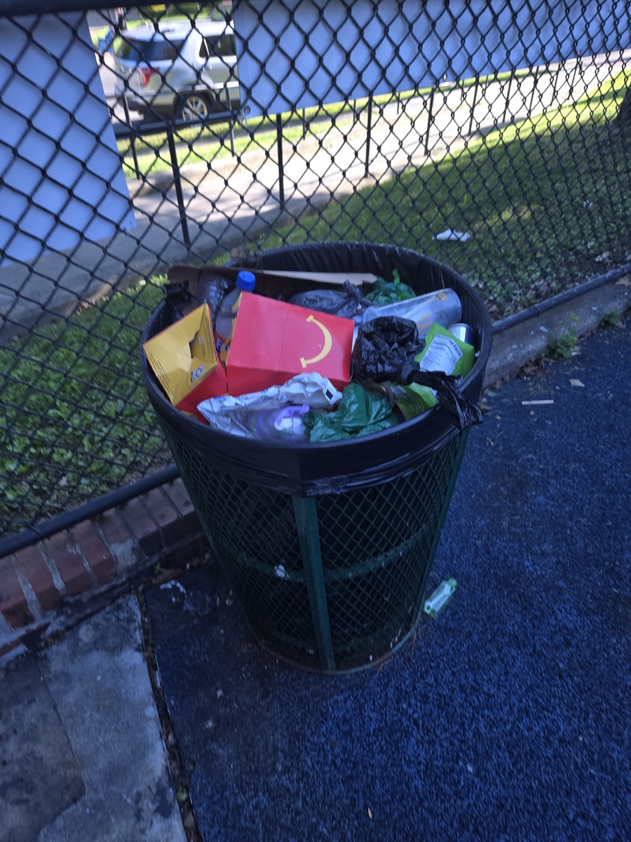 Photographic documentation of the work as submitted to the city's 311 record.