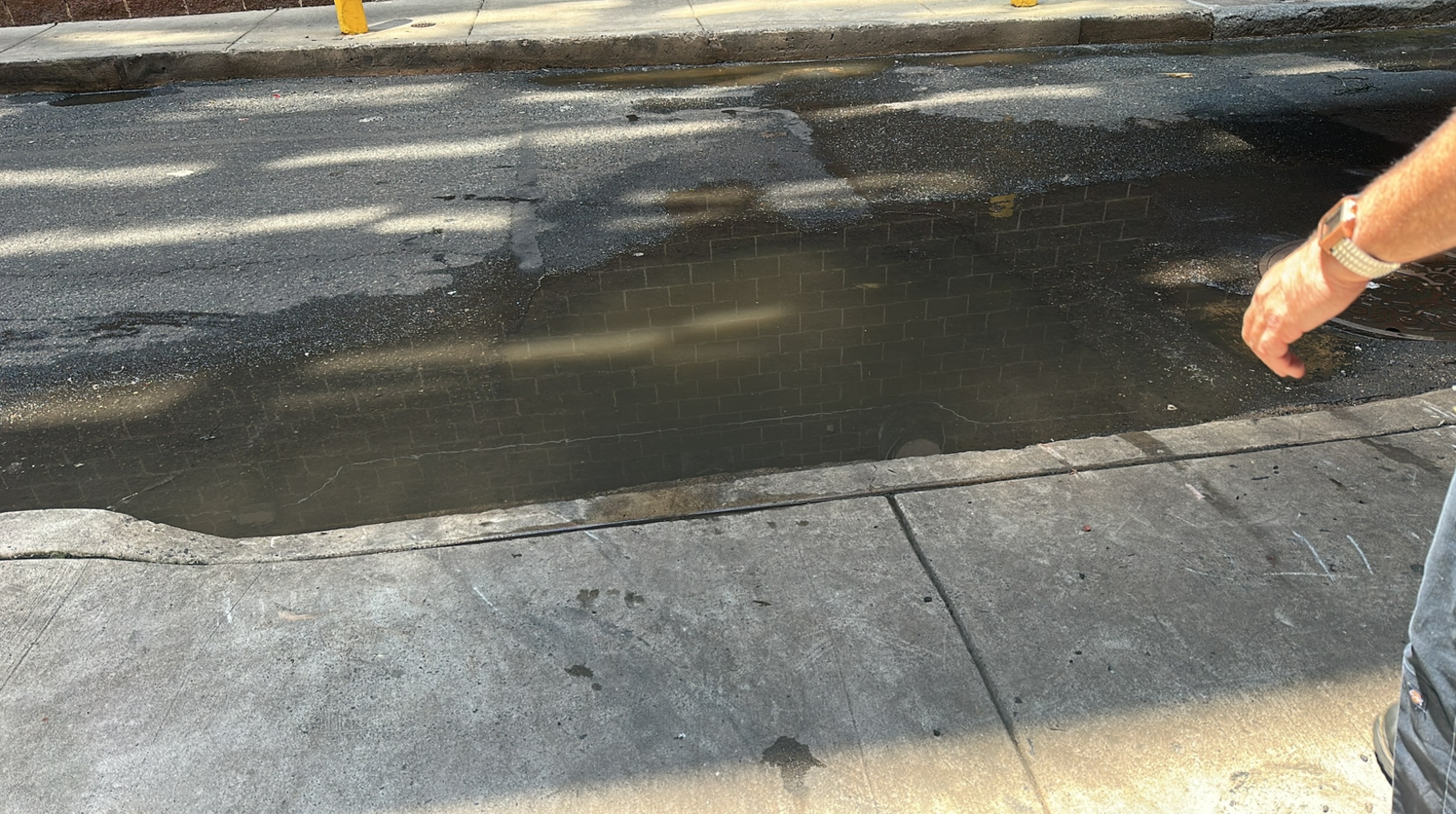 Photographic documentation of the work as submitted to the city's 311 record.