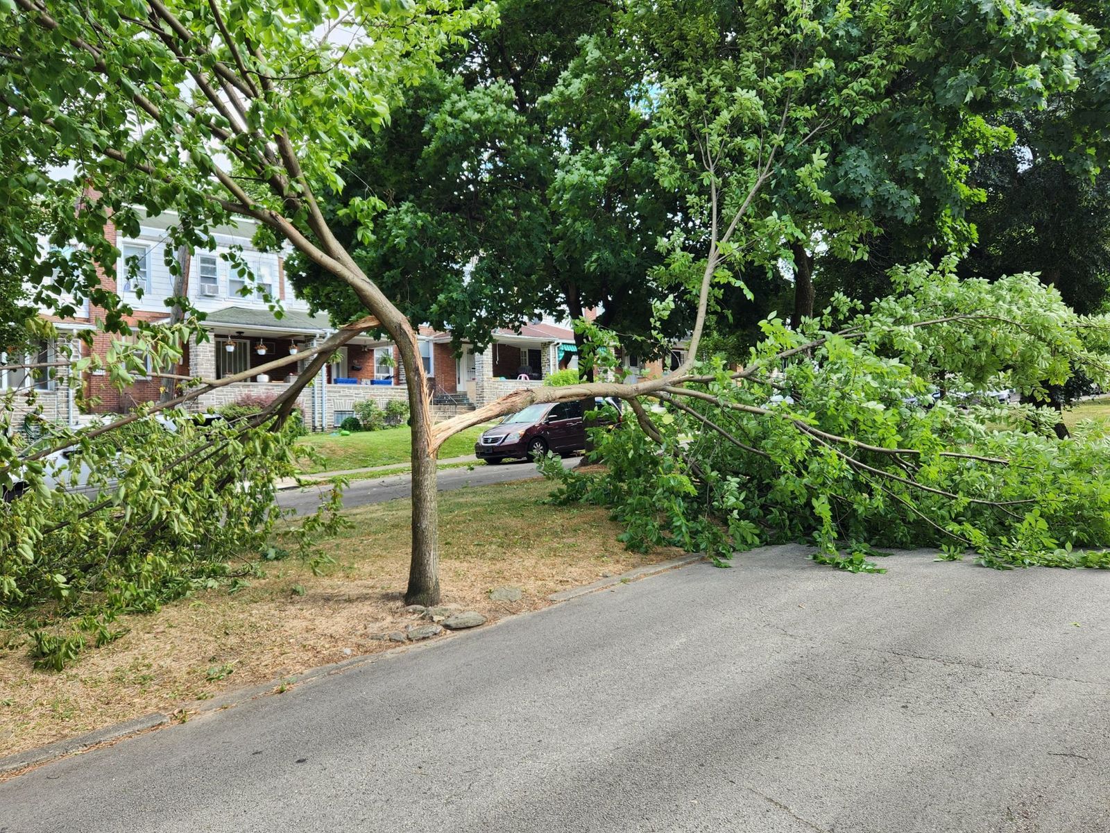Photographic documentation of the work as submitted to the city's 311 record.