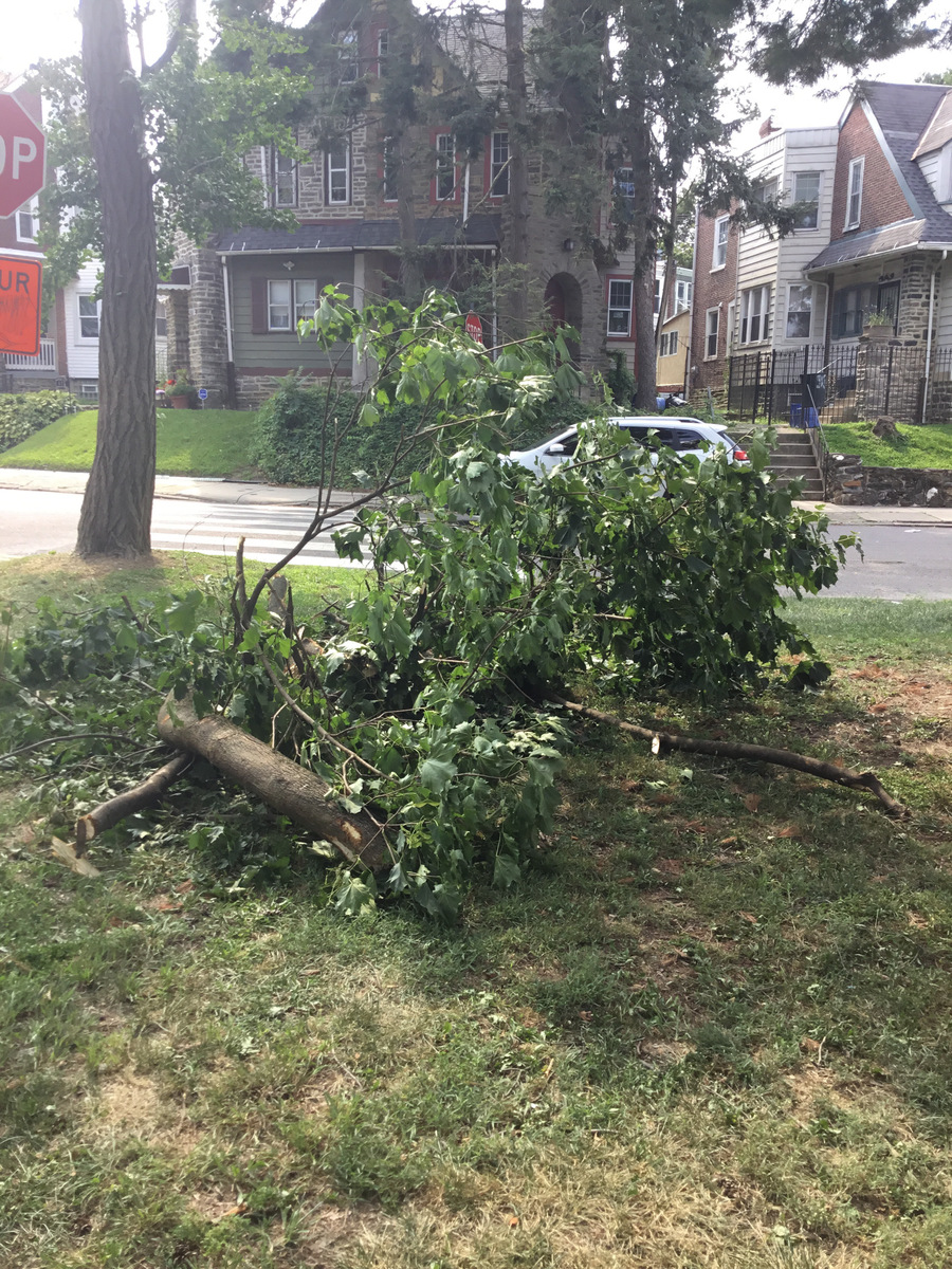 Photographic documentation of the work as submitted to the city's 311 record.