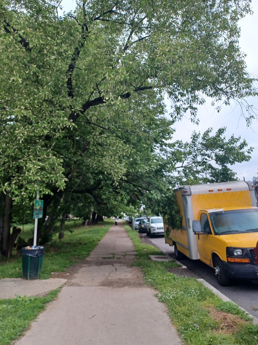Photographic documentation of the work as submitted to the city's 311 record.