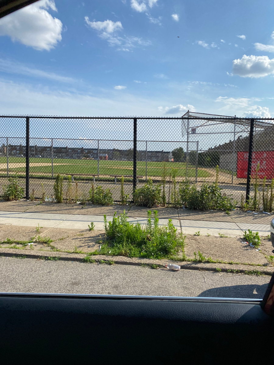 Photographic documentation of the work as submitted to the city's 311 record.