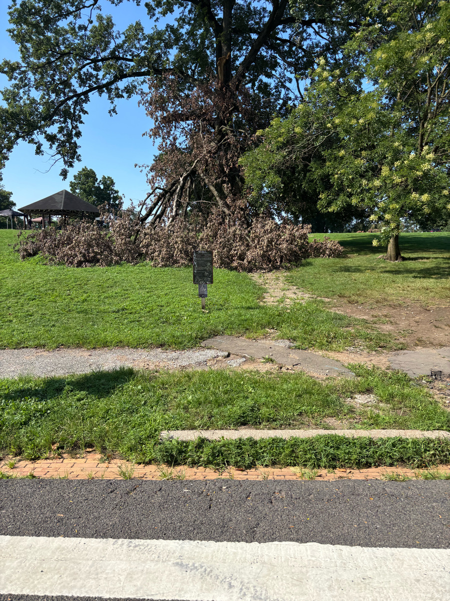 Photographic documentation of the work as submitted to the city's 311 record.