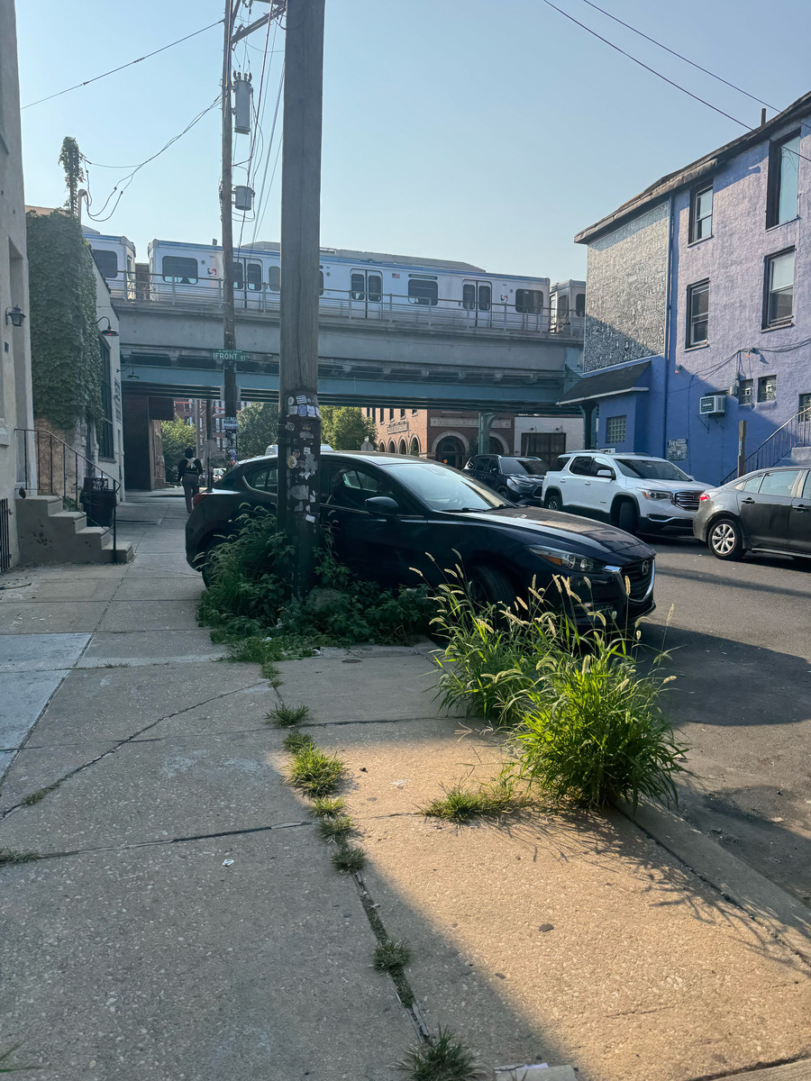 Photographic documentation of the work as submitted to the city's 311 record.