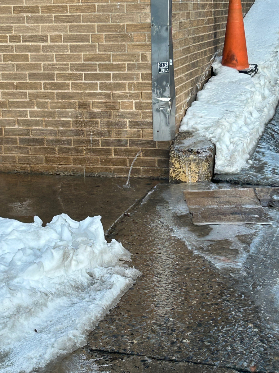 Photographic documentation of the work as submitted to the city's 311 record.