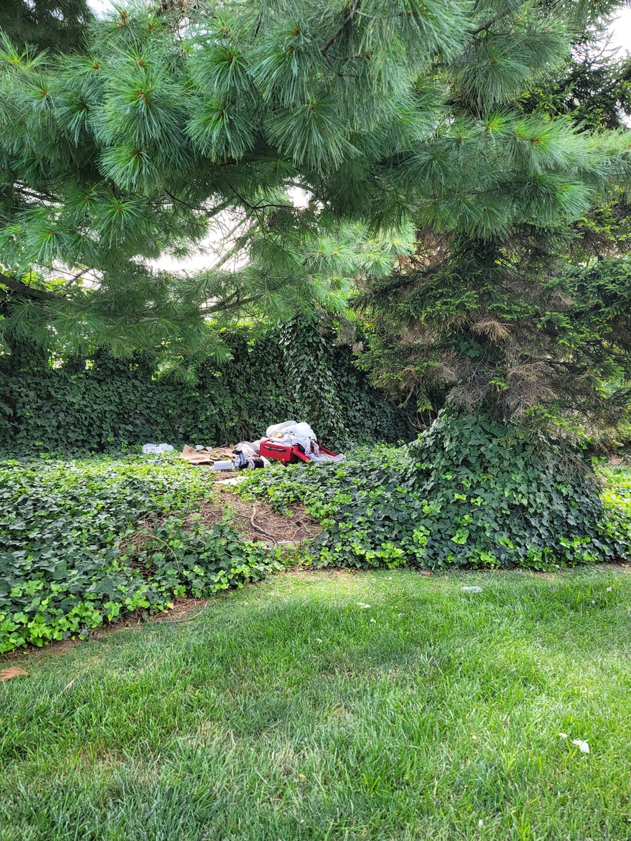 Photographic documentation of the work as submitted to the city's 311 record.