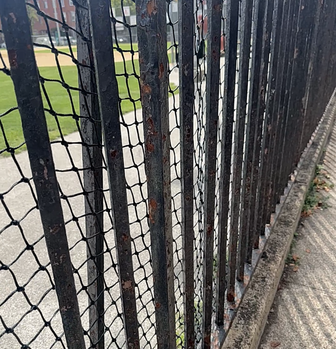 Photographic documentation of the work as submitted to the city's 311 record.