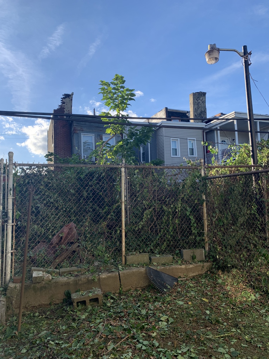 Photographic documentation of the work as submitted to the city's 311 record.