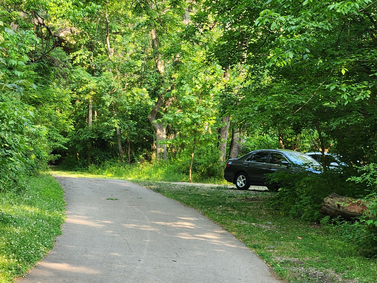 Photographic documentation of the work as submitted to the city's 311 record.