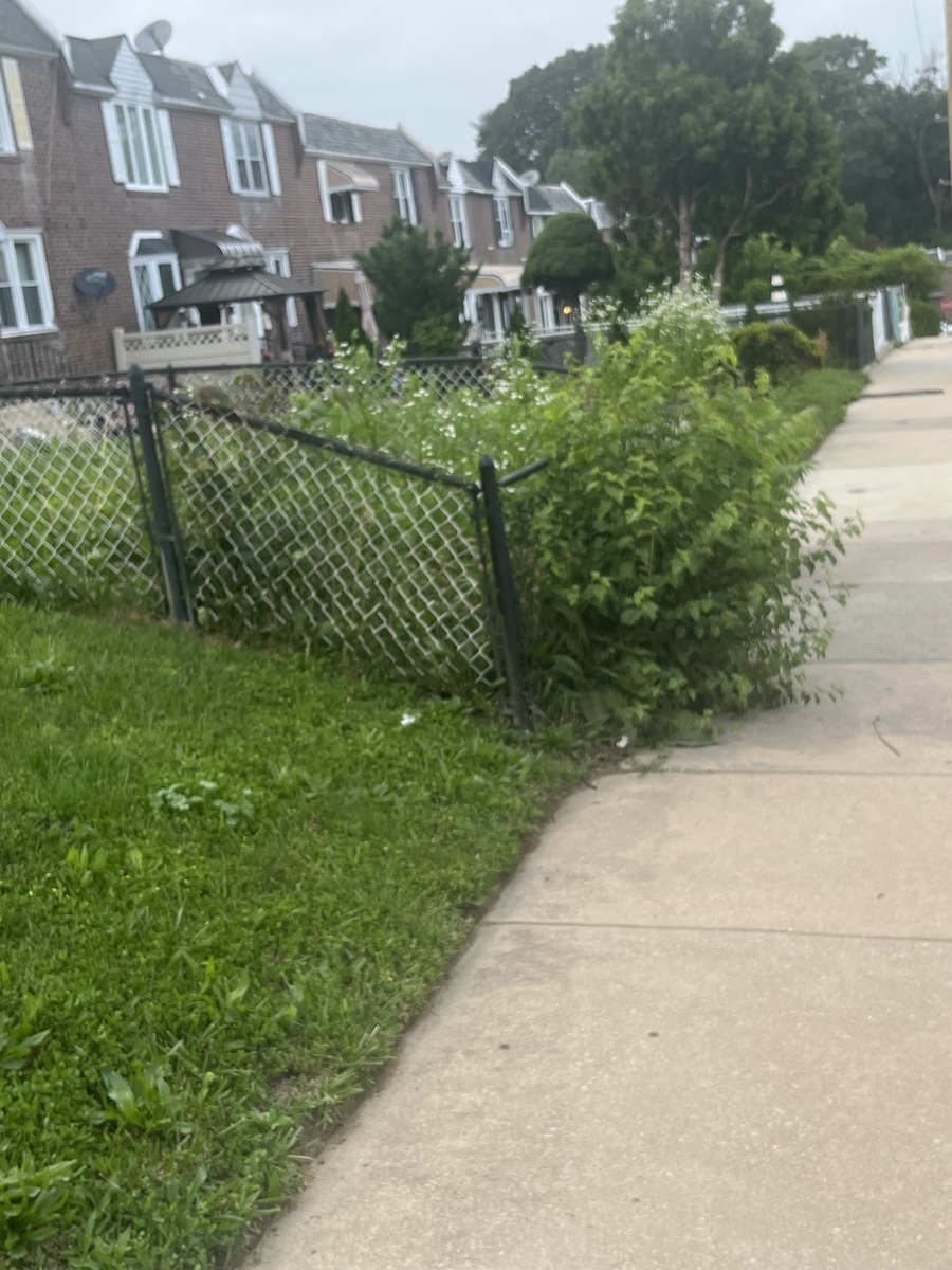 Photographic documentation of the work as submitted to the city's 311 record.