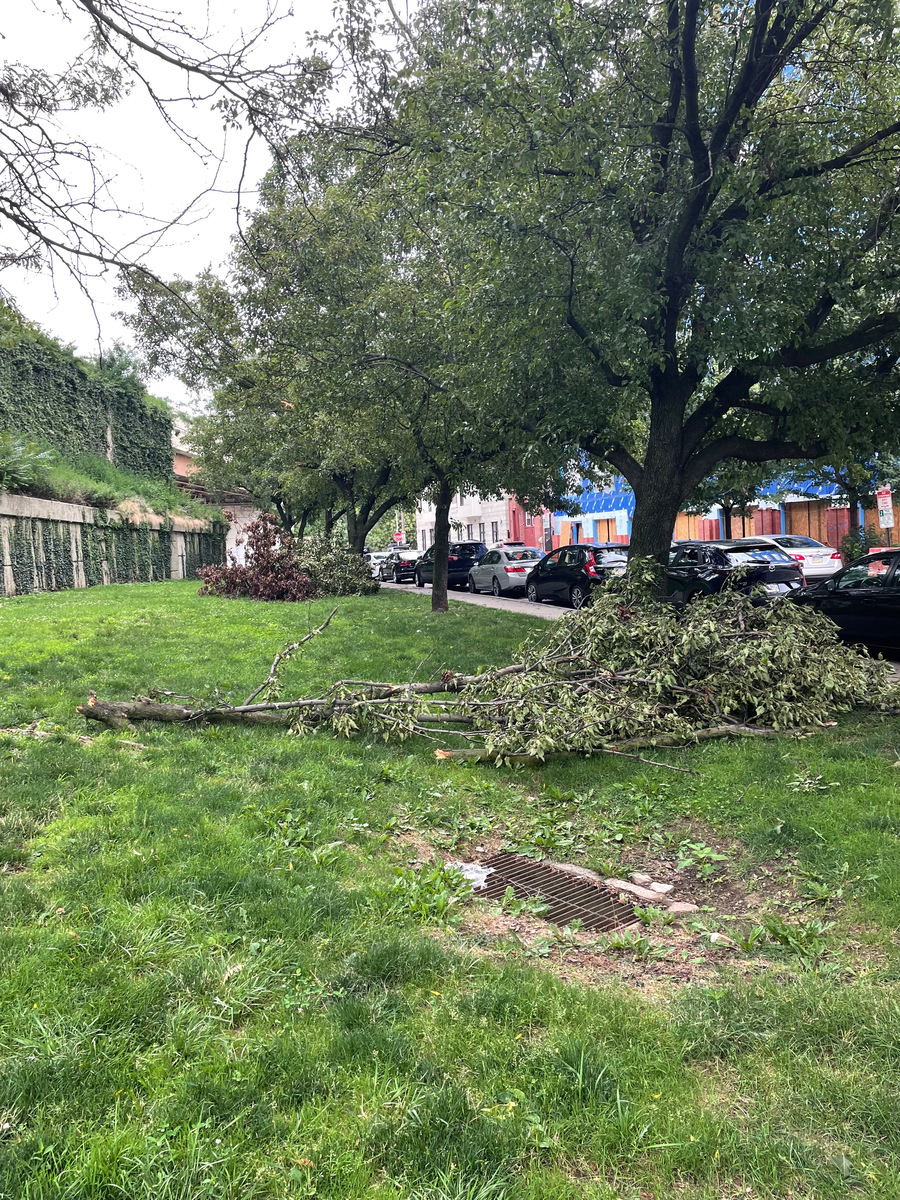 Photographic documentation of the work as submitted to the city's 311 record.