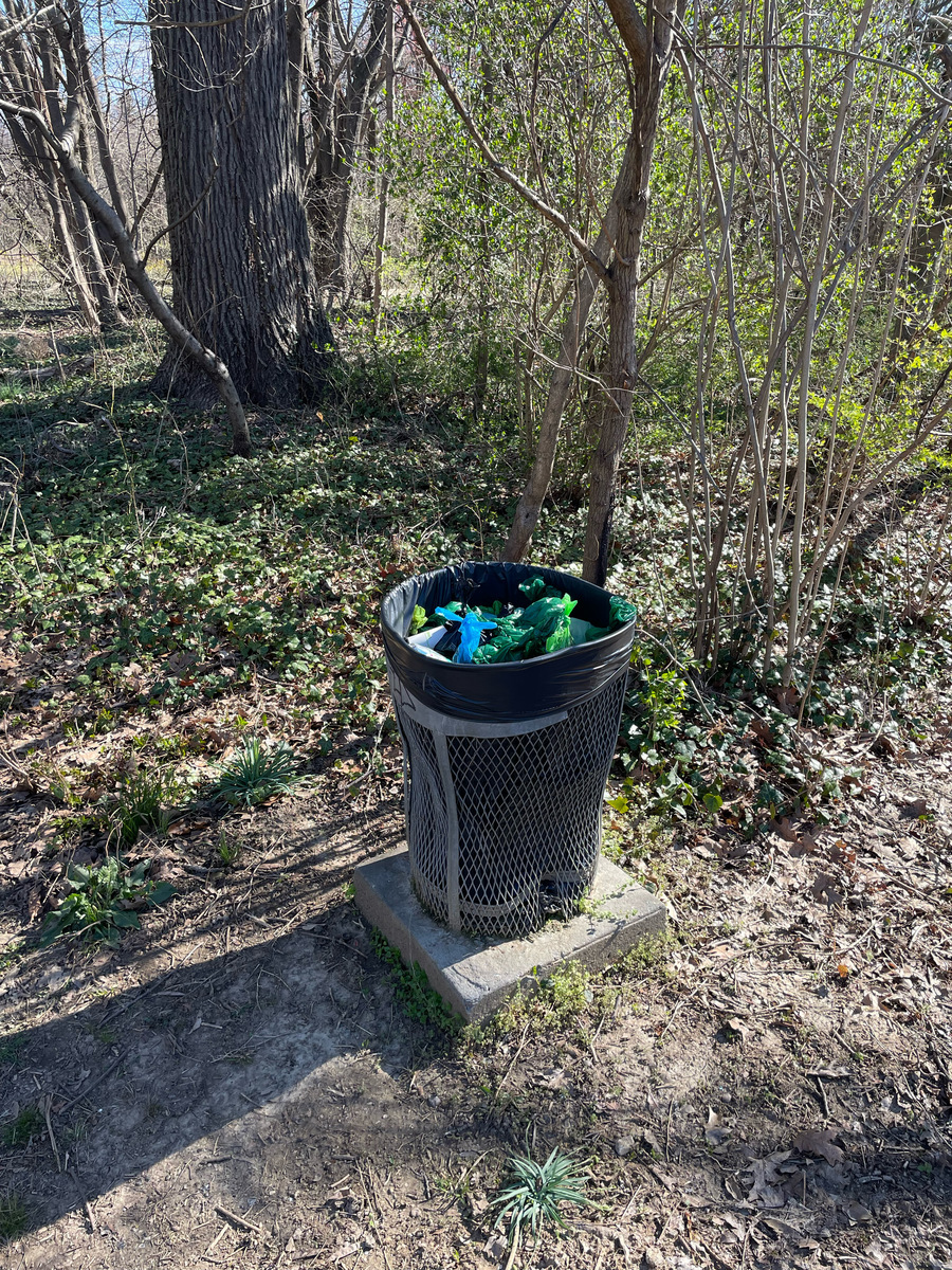 Photographic documentation of the work as submitted to the city's 311 record.