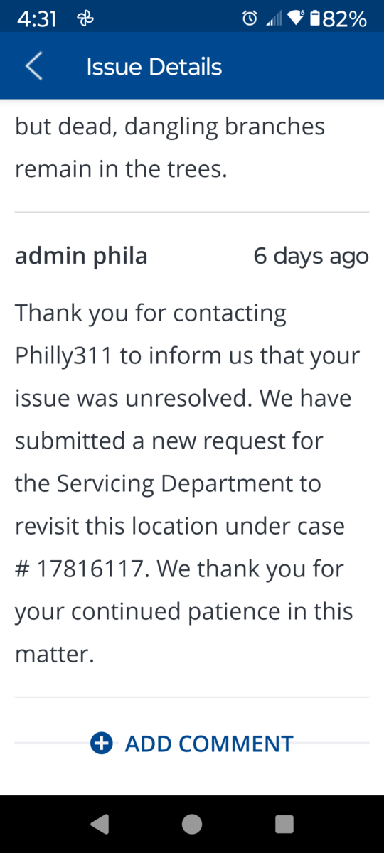 Photographic documentation of the work as submitted to the city's 311 record.