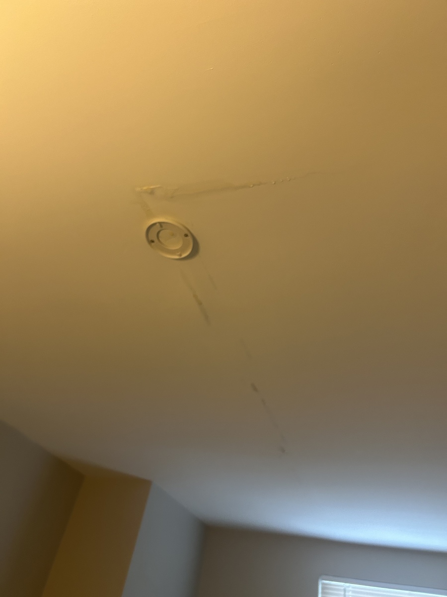 Photographic documentation of the work as submitted to the city's 311 record.