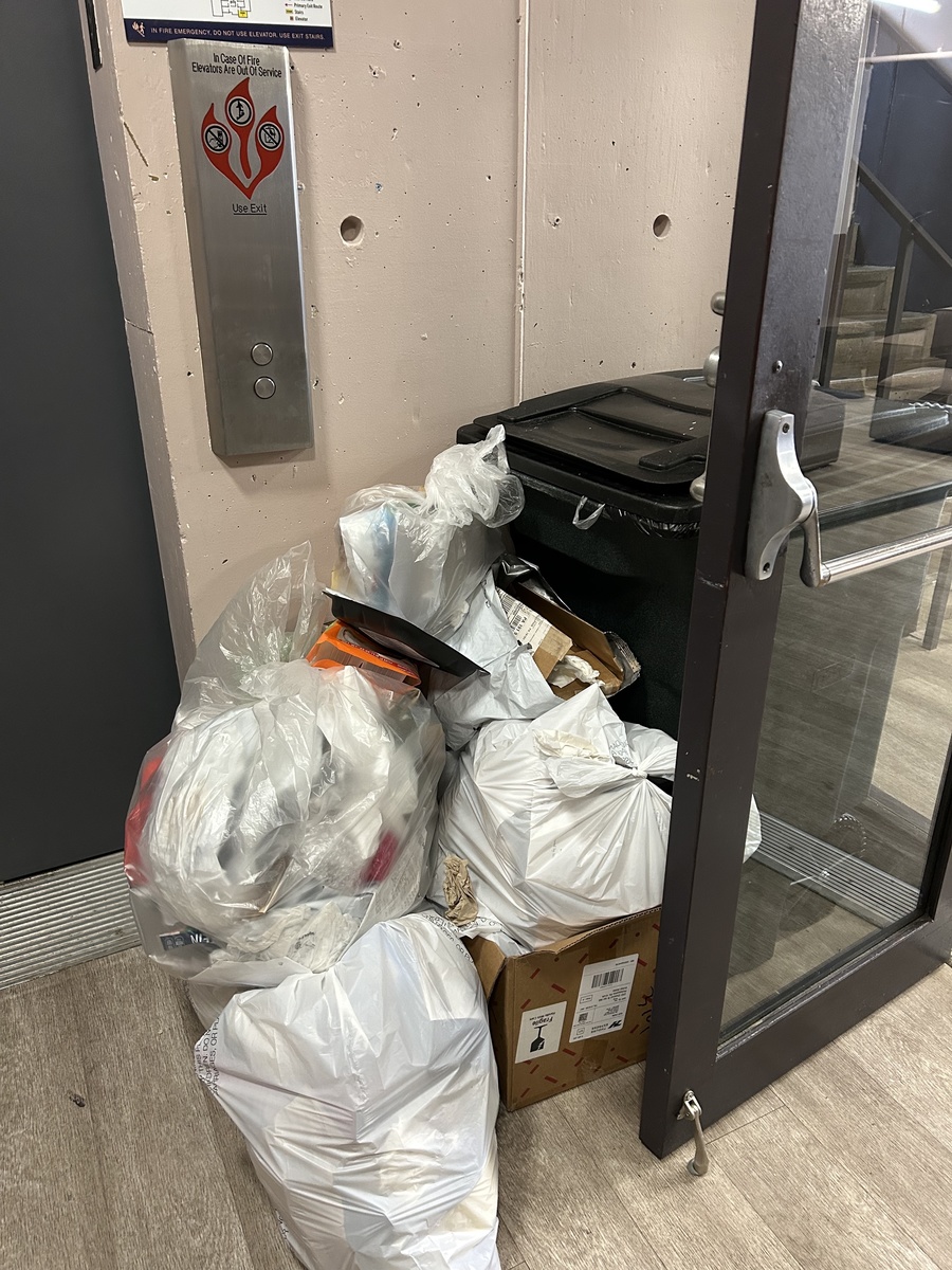 Photographic documentation of the work as submitted to the city's 311 record.