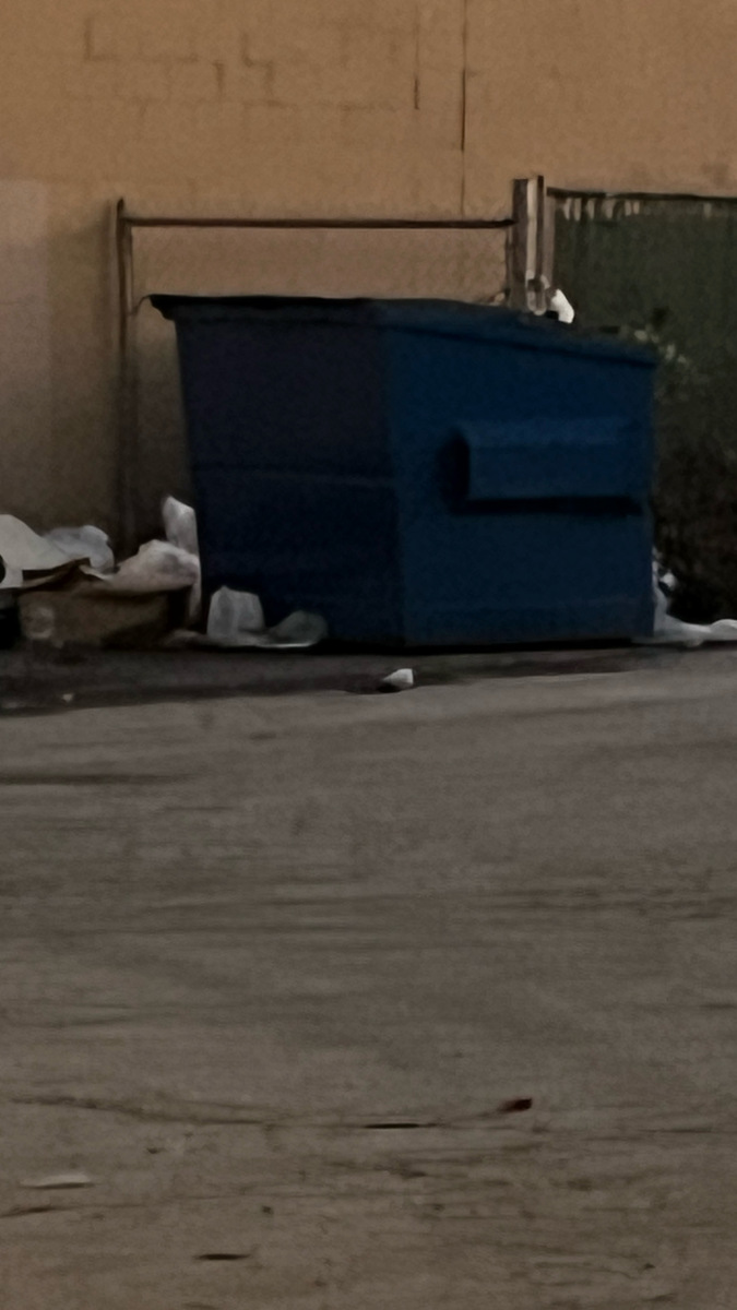 Photographic documentation of the work as submitted to the city's 311 record.
