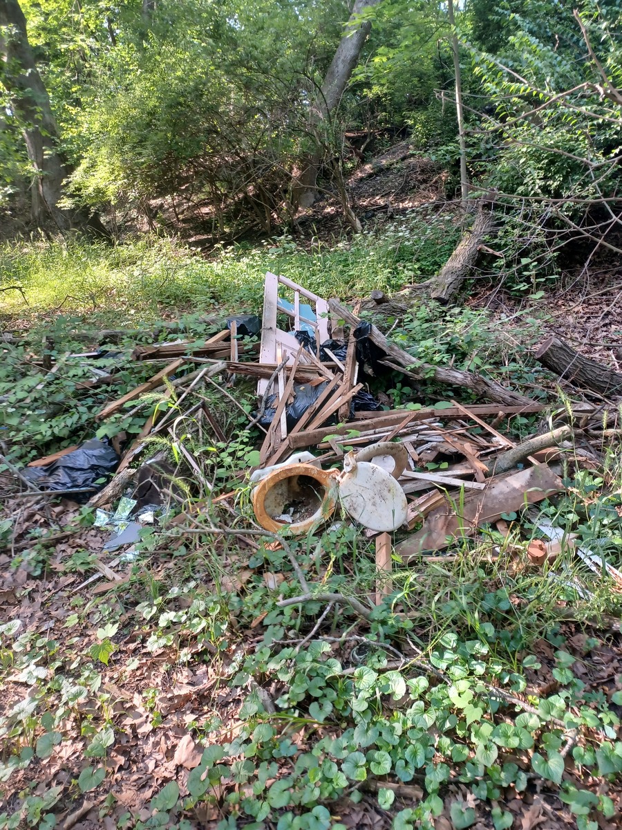 Photographic documentation of the work as submitted to the city's 311 record.
