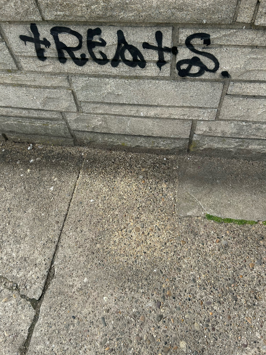 Documentation of Treats as Markings on the Wall, Curbside — South Philadelphia, as submitted to Philadelphia 311.
