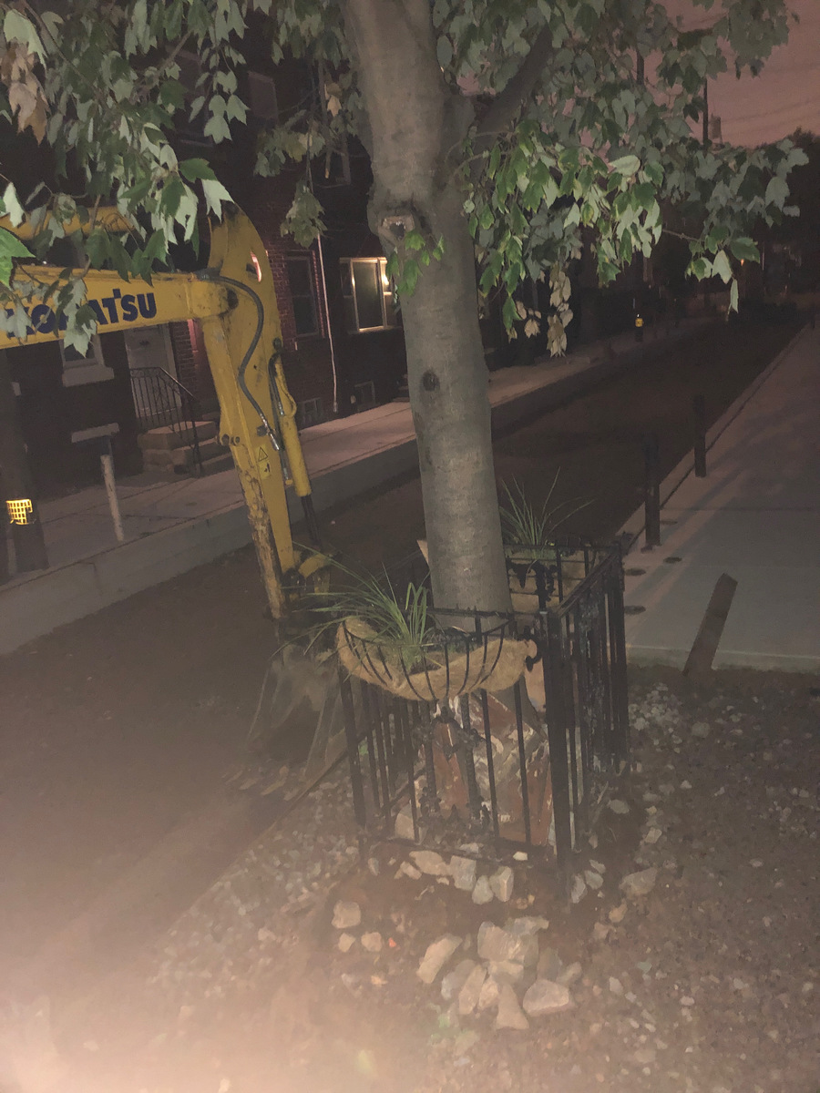 Photographic documentation of the work as submitted to the city's 311 record.