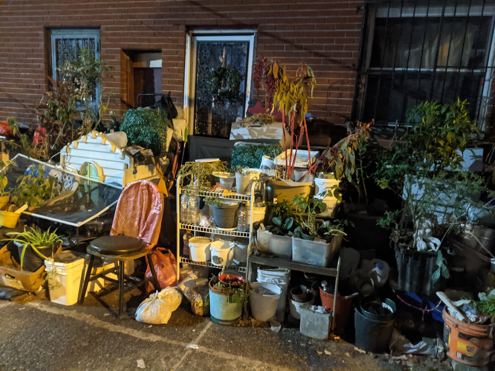 Photographic documentation of the work as submitted to the city's 311 record.