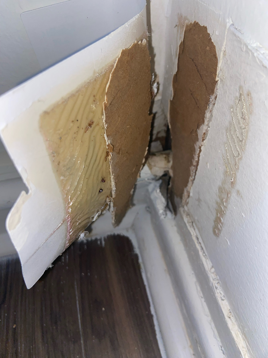Photographic documentation of the work as submitted to the city's 311 record.