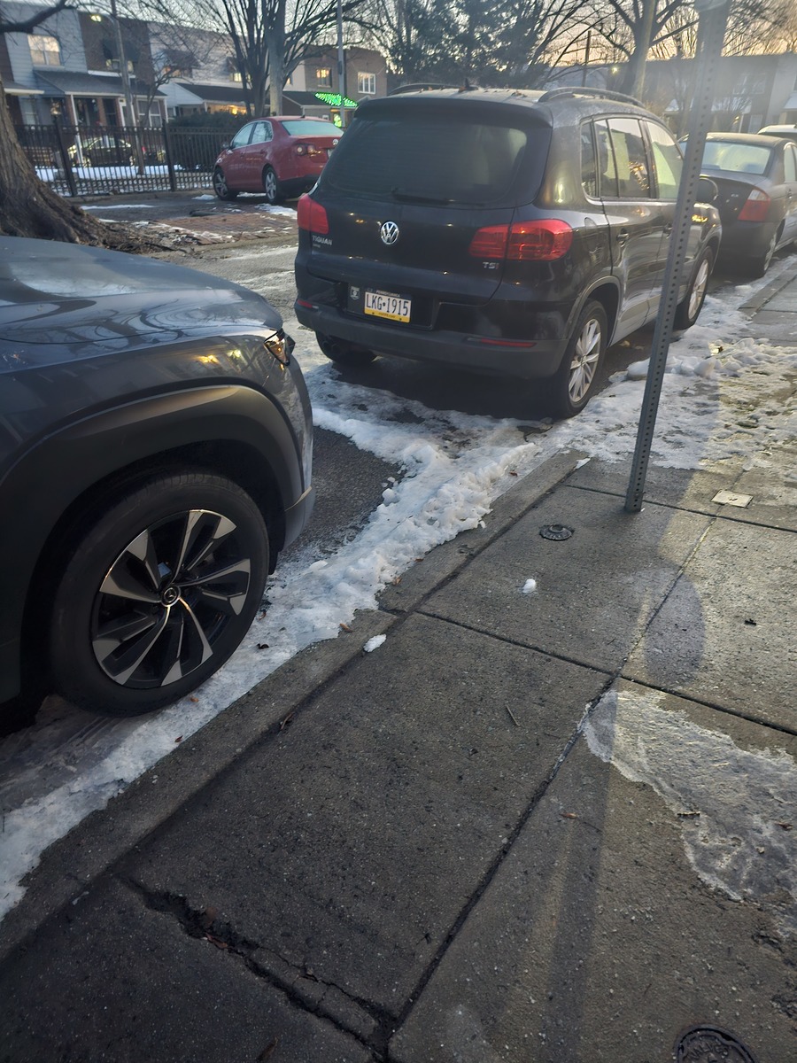 Photographic documentation of the work as submitted to the city's 311 record.