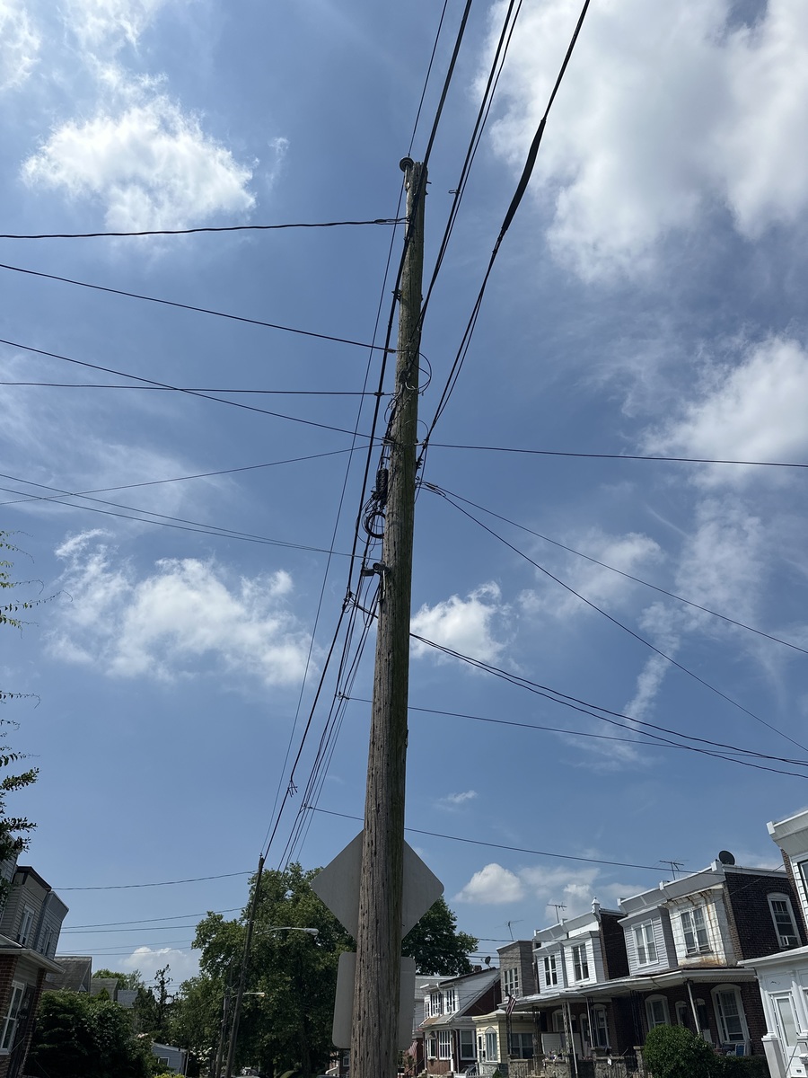 Photographic documentation of the work as submitted to the city's 311 record.