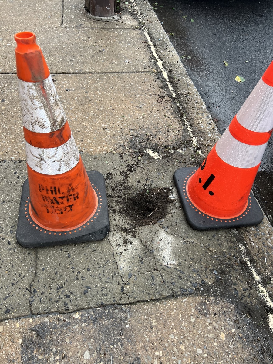 Photographic documentation of the work as submitted to the city's 311 record.