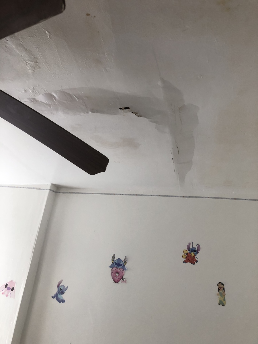 Photographic documentation of the work as submitted to the city's 311 record.