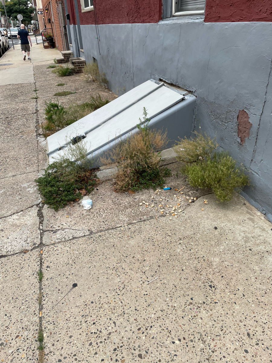 Photographic documentation of the work as submitted to the city's 311 record.