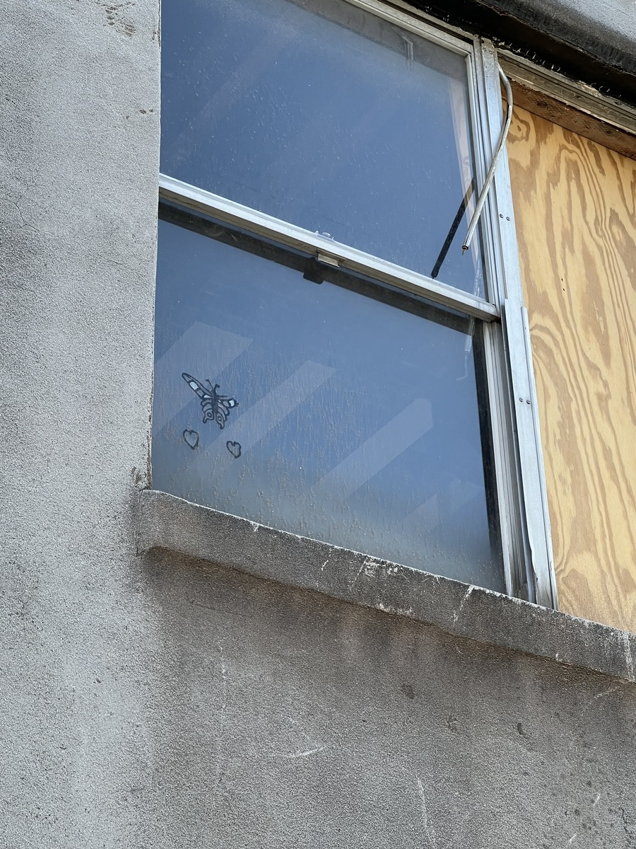 Photographic documentation of the work as submitted to the city's 311 record.
