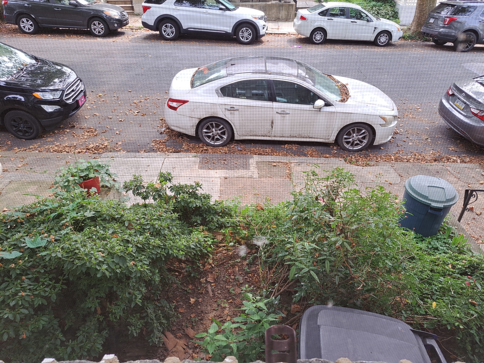Photographic documentation of the work as submitted to the city's 311 record.