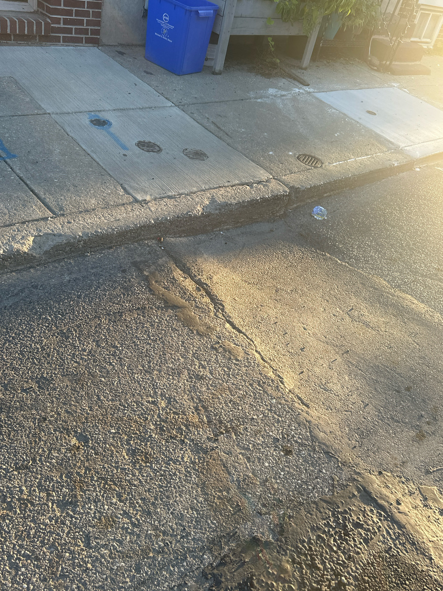 Photographic documentation of the work as submitted to the city's 311 record.