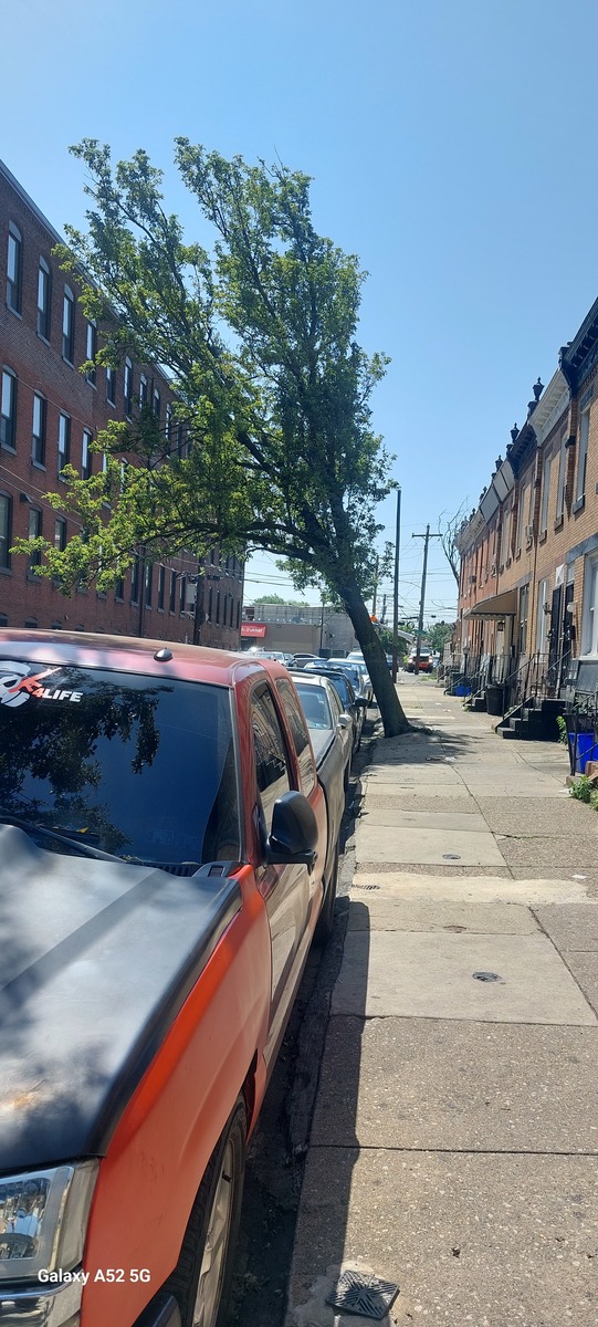 Photographic documentation of the work as submitted to the city's 311 record.
