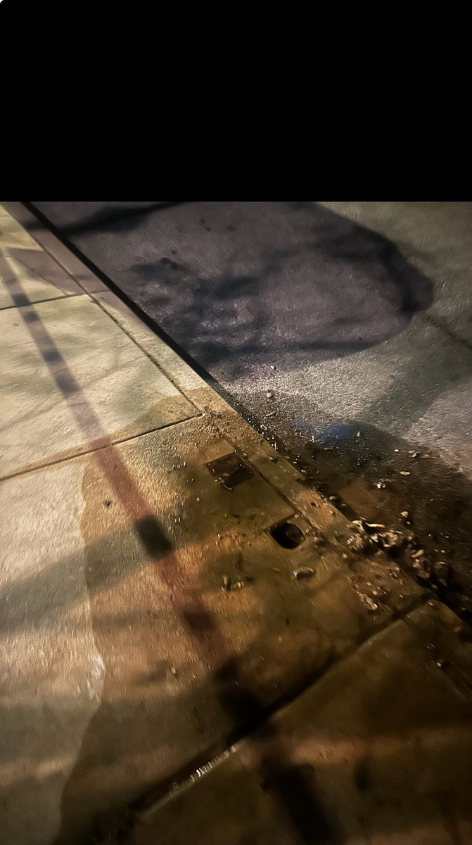 Photographic documentation of the work as submitted to the city's 311 record.