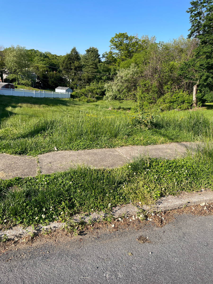 Photographic documentation of the work as submitted to the city's 311 record.