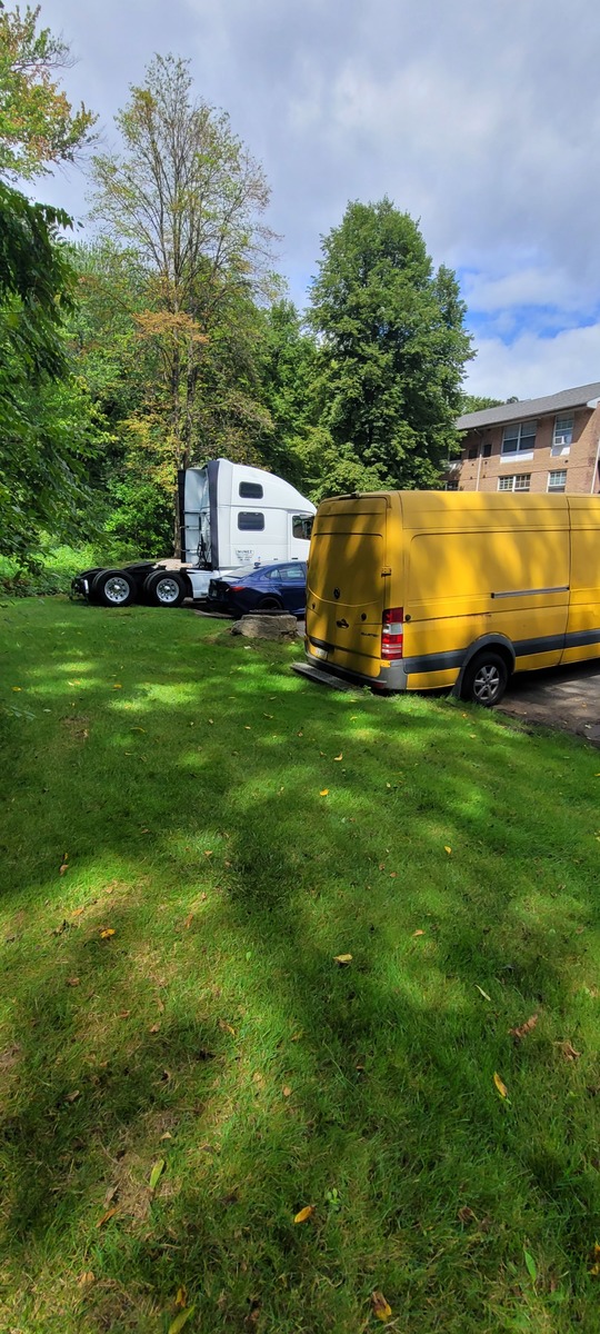 Photographic documentation of the work as submitted to the city's 311 record.