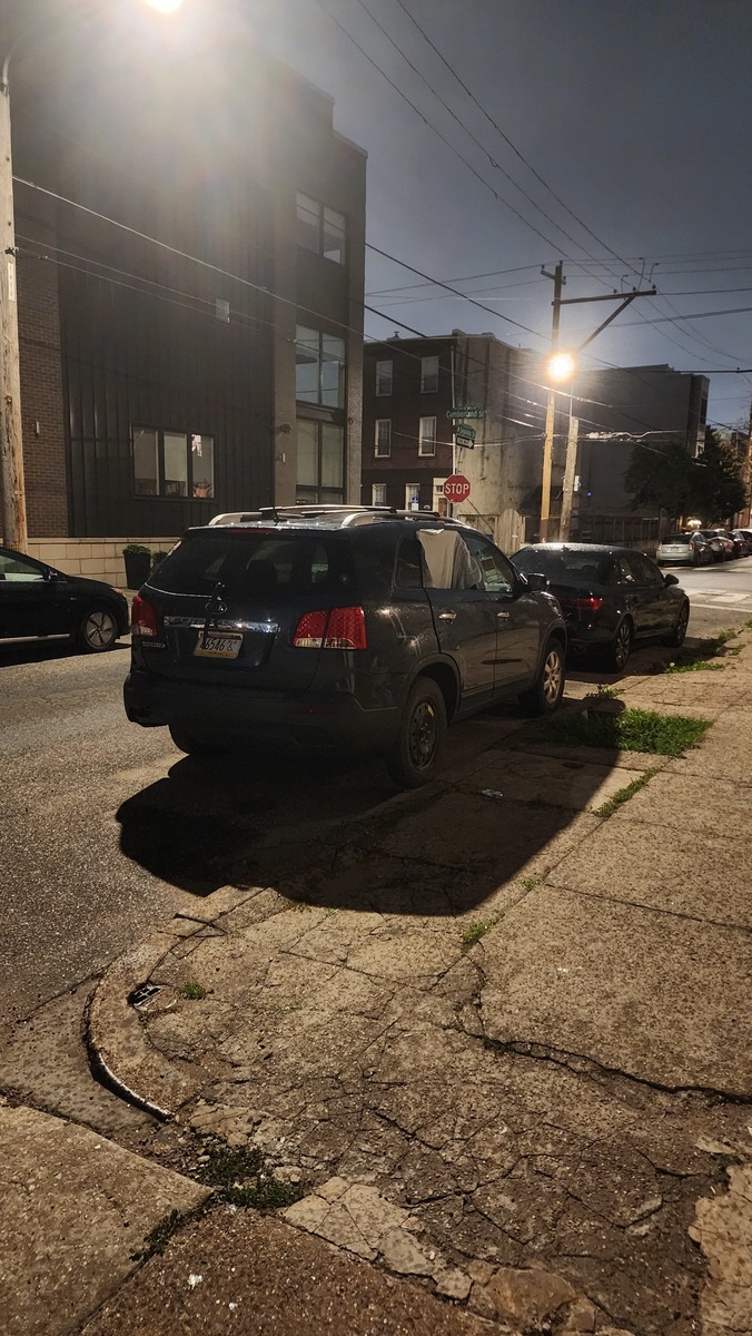 Photographic documentation of the work as submitted to the city's 311 record.