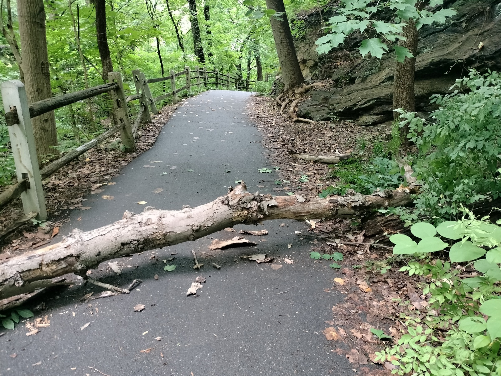 Photographic documentation of the work as submitted to the city's 311 record.