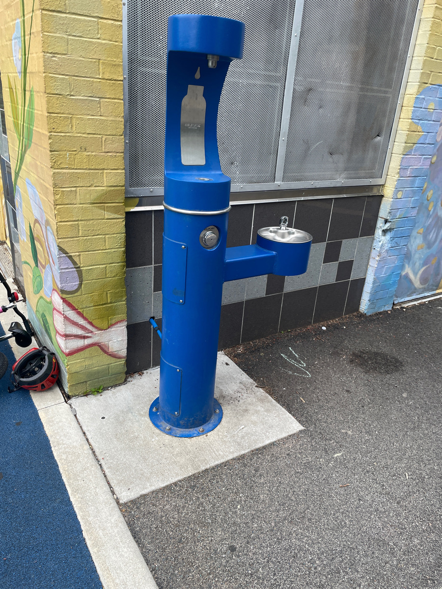 Photographic documentation of the work as submitted to the city's 311 record.