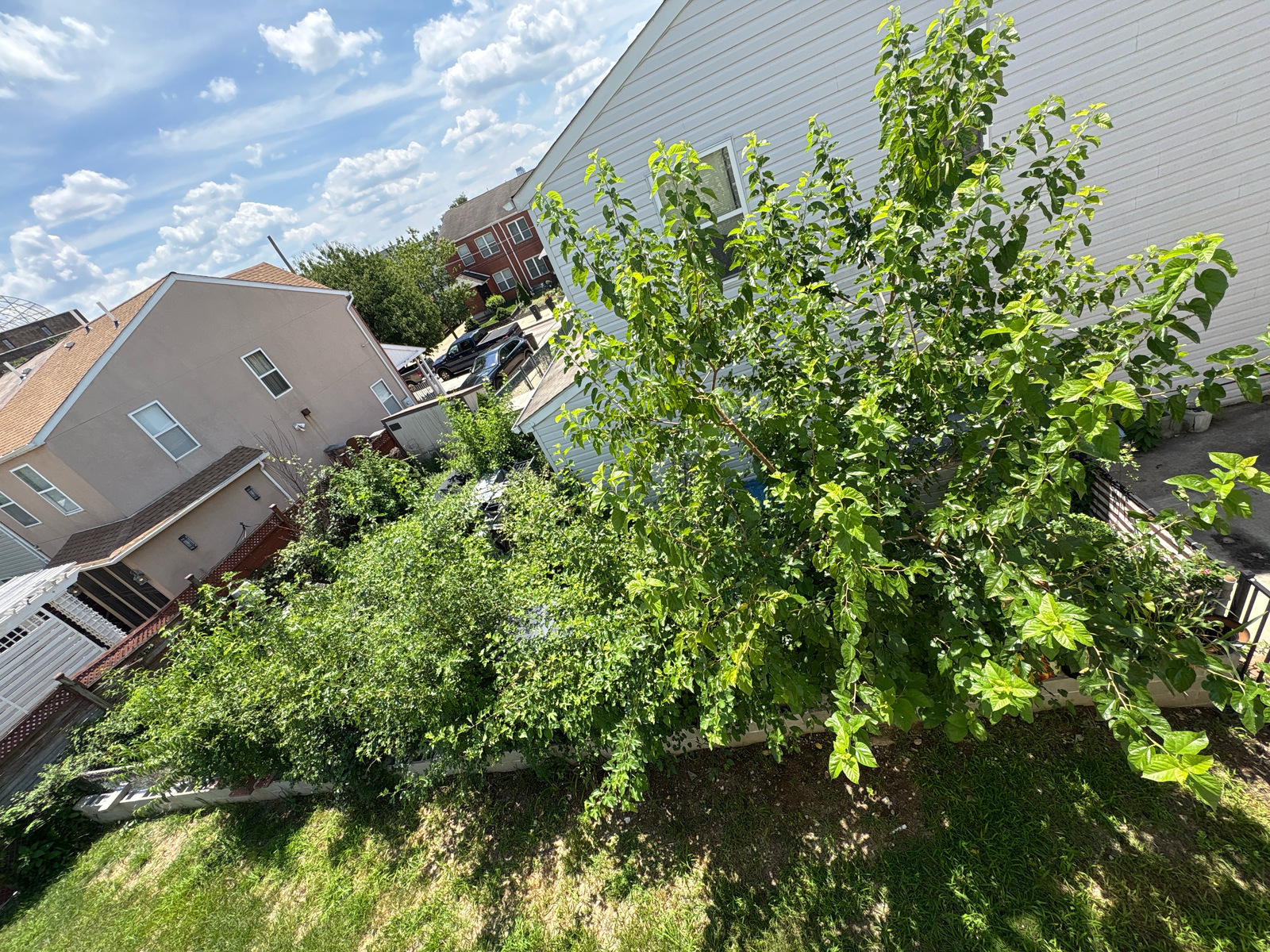 Photographic documentation of the work as submitted to the city's 311 record.