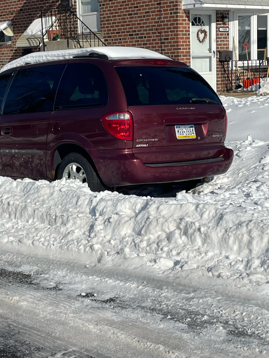 Photographic documentation of the work as submitted to the city's 311 record.