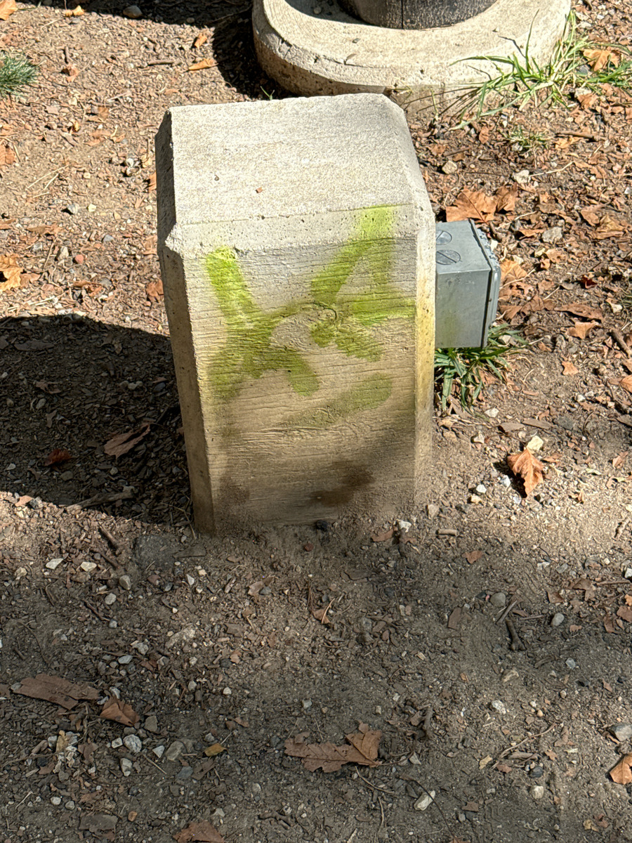 Photographic documentation of the work as submitted to the city's 311 record.